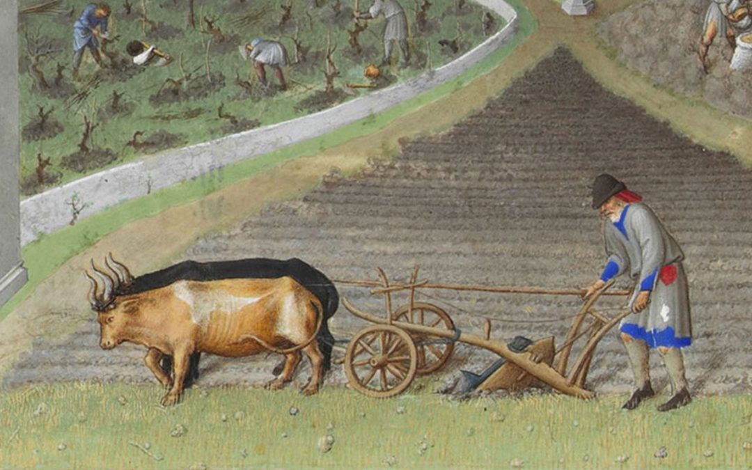 adoption of the heavy plow